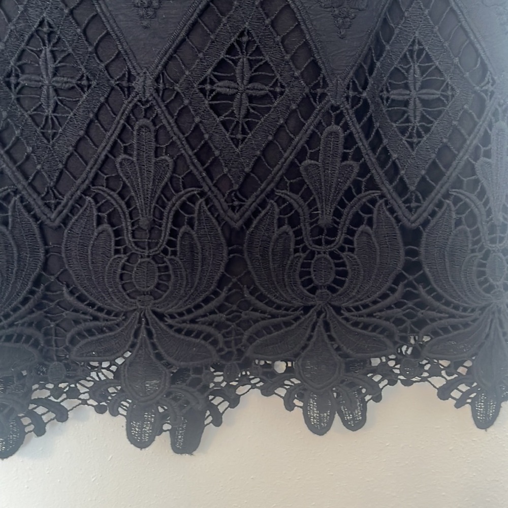 Anthropologie Moulinette Soeurs Garden Silhouette Lace Skirt‎ Size 2 - Picture 5 of 11
